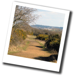Golden Hill Country Park