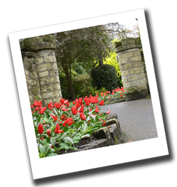 Rylstone Gardens