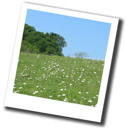 Sibden Hill