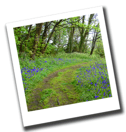 Sibden Hill